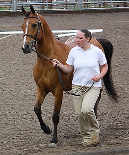 alexSHIHregionals09 w.JPG